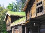 house with sod roof