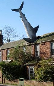 The Shark House